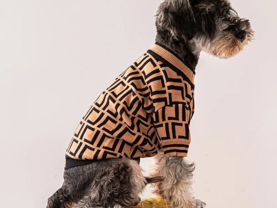  Stylish and Affordable Pet Outfits: Elevate Your Pet's Wardrobe