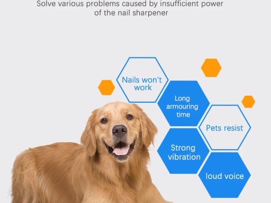 Ultimate Guide to Zen Pet Grooming: Transform Your Pet's Grooming Experience