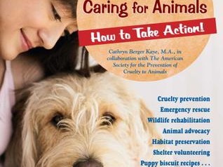 Traveling with Amtrak Pets: A Comprehensive Guide for Pet Owners