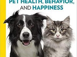  Discover Exceptional Care at Pet Central Animal Hospital Minneapolis MN: Your Pet's Home Away from Home